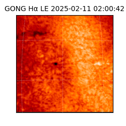 gong - 2025-02-11T02:00:42