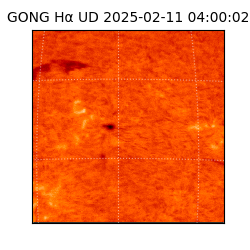 gong - 2025-02-11T04:00:02