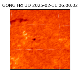 gong - 2025-02-11T06:00:02