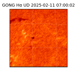 gong - 2025-02-11T07:00:02