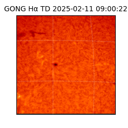 gong - 2025-02-11T09:00:22