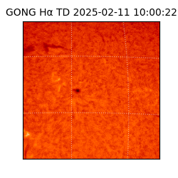 gong - 2025-02-11T10:00:22