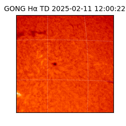gong - 2025-02-11T12:00:22