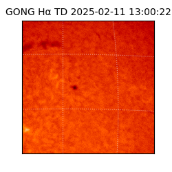gong - 2025-02-11T13:00:22
