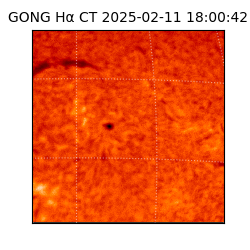 gong - 2025-02-11T18:00:42