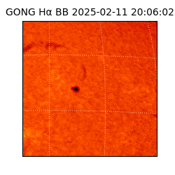 gong - 2025-02-11T20:06:02