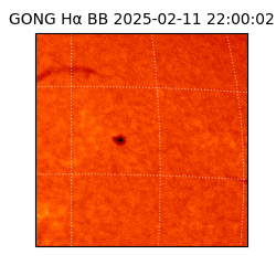 gong - 2025-02-11T22:00:02