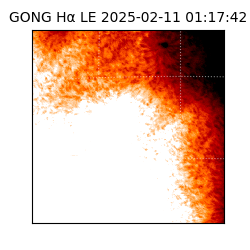gong - 2025-02-11T01:17:42