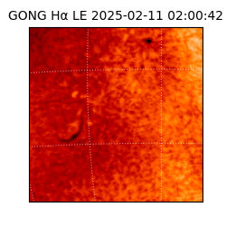 gong - 2025-02-11T02:00:42