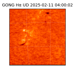 gong - 2025-02-11T04:00:02