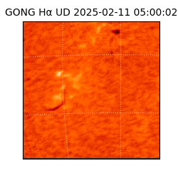 gong - 2025-02-11T05:00:02