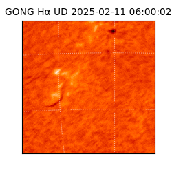 gong - 2025-02-11T06:00:02