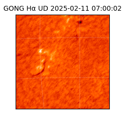 gong - 2025-02-11T07:00:02