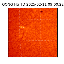 gong - 2025-02-11T09:00:22