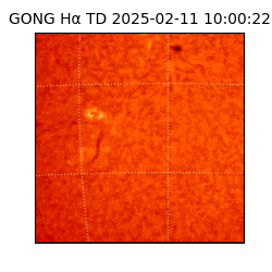gong - 2025-02-11T10:00:22