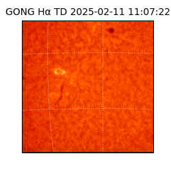 gong - 2025-02-11T11:07:22