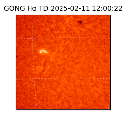 gong - 2025-02-11T12:00:22