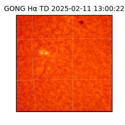 gong - 2025-02-11T13:00:22