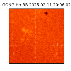 gong - 2025-02-11T20:06:02