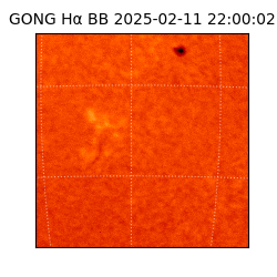 gong - 2025-02-11T22:00:02