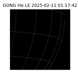 gong - 2025-02-11T01:17:42