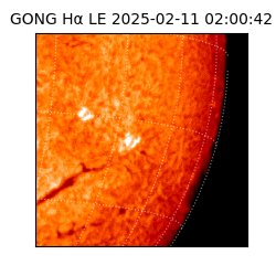 gong - 2025-02-11T02:00:42