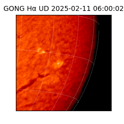 gong - 2025-02-11T06:00:02
