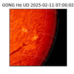 gong - 2025-02-11T07:00:02