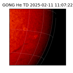 gong - 2025-02-11T11:07:22