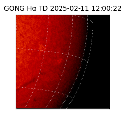 gong - 2025-02-11T12:00:22