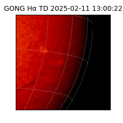 gong - 2025-02-11T13:00:22
