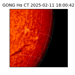 gong - 2025-02-11T18:00:42