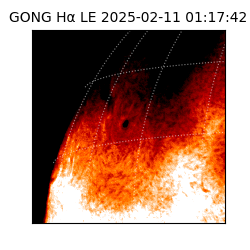gong - 2025-02-11T01:17:42