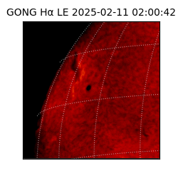gong - 2025-02-11T02:00:42