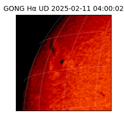 gong - 2025-02-11T04:00:02
