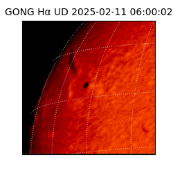 gong - 2025-02-11T06:00:02