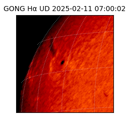 gong - 2025-02-11T07:00:02