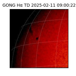 gong - 2025-02-11T09:00:22