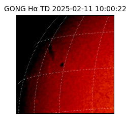 gong - 2025-02-11T10:00:22
