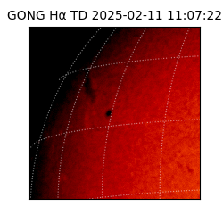 gong - 2025-02-11T11:07:22