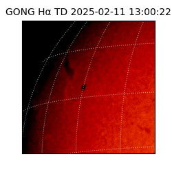 gong - 2025-02-11T13:00:22