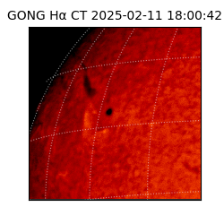 gong - 2025-02-11T18:00:42