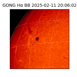 gong - 2025-02-11T20:06:02