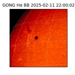 gong - 2025-02-11T22:00:02