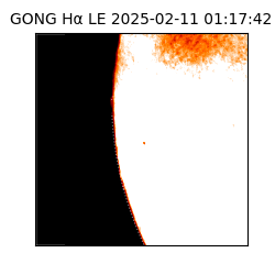 gong - 2025-02-11T01:17:42