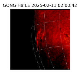 gong - 2025-02-11T02:00:42