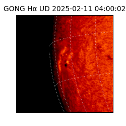 gong - 2025-02-11T04:00:02