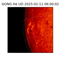 gong - 2025-02-11T06:00:02
