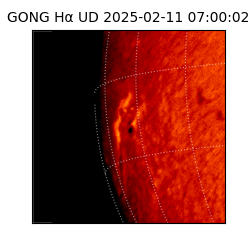 gong - 2025-02-11T07:00:02
