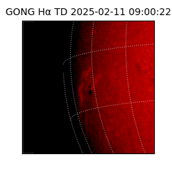 gong - 2025-02-11T09:00:22